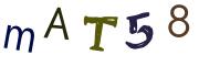 Image CAPTCHA